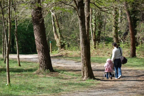 Top 5 des randos ou courses à pied