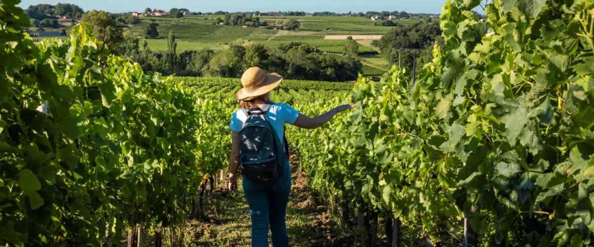 Agenda des visites dégustations